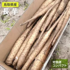 2025年最新】長芋の人気アイテム - メルカリ