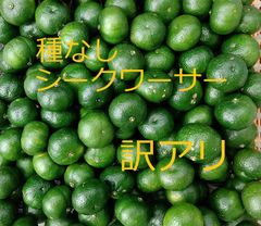 訳アリ】種なしシークワーサー 10キロ - 果物