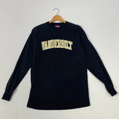 Champion/チャンピオン 長袖 ロンT フロントプリント オーバーサイズ ビックシルエット ホンジュラス製 メンズ M ブラック