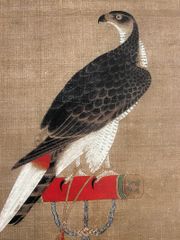 元 徐沢 架上鷹図 巻物 文人画 国画 字画 名画 中国画 仏像 東洋画 国画 中堂画 仏像 書画 中国画 宣紙画芯