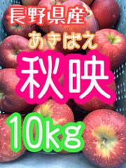 1玉120円？😳激安！今が旬！家庭用秋映約10kg　長野県産送料無料！　りんご　Apple　林檎　リンゴ