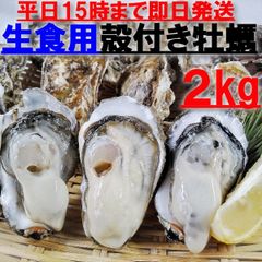 生食用 殻付き 牡蠣 ２ｋｇ（14~30粒）牡蠣 殻付き 牡蛎 牡蠣 殻付 宮城県 生食用牡蠣 牡蠣生食用 カキ 牡蛎 BBQ お花見 父の日 母の日 御歳暮 お中元 お歳暮 贈答品 kaki 松島牡蠣屋 漁師直送 かき バーベキュー 海産物 海鮮 貝類