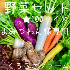 2023年最新】野菜セット 100サイズの人気アイテム - メルカリ