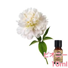 ピオニー シャクヤク 芍薬 10ml×1本 エッセンシャルオイル アロマオイル 無希釈 天然 無添加 アロマストーン アロマディフューザー 芳香 ルームフレグランス 香水