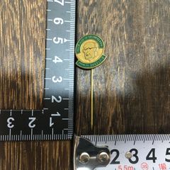 雑貨 ビンテージ ハットピン 缶バッジ PROF MR L SAMKALDEN MIN V JUSTITIE