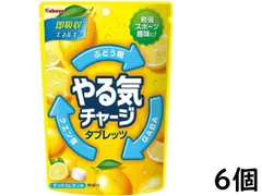 カバヤ やる気チャージタブレッツ 79g ×6個 賞味期限2024/12