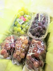 イカt様専用クール便