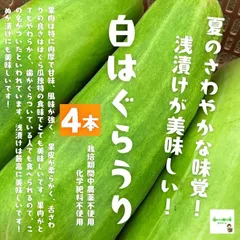 2025年最新】白瓜の人気アイテム - メルカリ