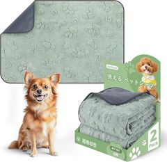 Item thumbnail for item 51c1ef86-8f0e-4b1d-a842-97ba025d28a9