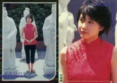 2025年最新】竹内結子 トレカの人気アイテム - メルカリ