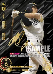 2025年最新】プロ野球ドリームオーダー 柳田悠岐の人気アイテム