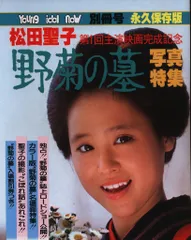 2025年最新】松田聖子ハンカチの人気アイテム - メルカリ