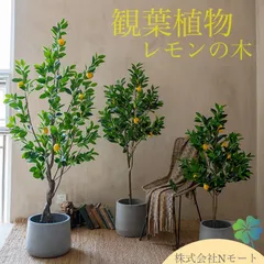 2024年最新】観葉植物 フェイクグリーン レモンの人気アイテム - メルカリ