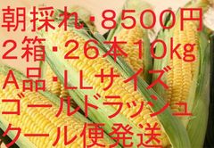 ８５００円！朝採れクール便発送！生でも食べられる「ゴールドラッシュ」