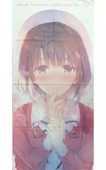 [중고] 잡화 카토 메구미 (뉴 타입 표지) 빅 타월 [그렇지 않은 그녀의 기르는 방법 Fes. Fine ~glory moment~]