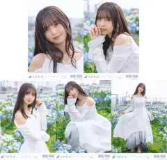 乃木坂46 - 乃木坂46 生写真 齋藤飛鳥 2017 July-Ⅱ ホワイト 3種コンプ 乃木坂46 - 乃木坂46 生写真 齋藤飛鳥 2017 July-Ⅱ ホワイト 3