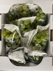 発送は9月より開始　クール便用　ぶどう　ナイヤガラ　2kg
