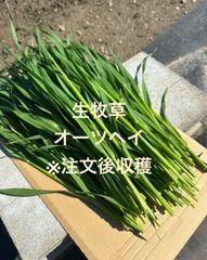 生牧草　オーツヘイ(常温配送)