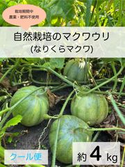 徳島県産マクワウリ(なりくらマクワ)【自然栽培】