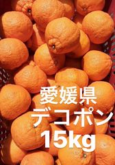 愛媛県　デコポン　柑橘　15kg