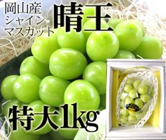 【安心の冷蔵便】岡山産　ぶどう食べ比べ（4～7種類）　ご家庭用　約4ｋｇ 安心の冷蔵便】岡山産 ぶどう食べ比べ（3～4種類） ご家庭用 約