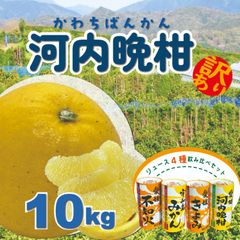 【超お買い得】河内晩柑　みしょうゴールド１０ｋｇ+４種の柑橘ジュース飲み比べセット