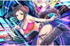 【中古】抱き枕カバー・シーツ・ブランケット 叢 タオルケット 「シノビマスター 閃乱カグラ NEW LINK」