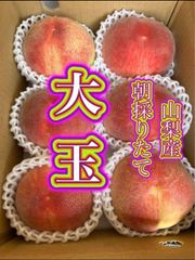 f111 クール便　藤稔2箱+大玉1箱　贈り物 お盆手土産 クール便 山梨県産 ぶどう 種無し 藤稔2房 贈り物 お盆手土産