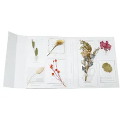 ☆ Botanical ☆ ドライフラワー ガーランドブック ガーランド 花 ドライフラワー ガーランドブック 飾りつけ 花飾り 誕生日 パーティー リビング ディスプレイ 写真撮影 壁掛け 壁飾り シンプル おしゃれ カフェ 店舗 グローバルアロー