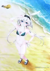 【中古】タペストリー ナムタル 描き下ろしB2タペストリー 「Switchソフト 創神のアルスマグナ The Alchemist of Ars Magna」 ソフマップ購入特典