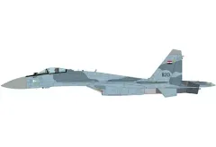 2025年最新】1/72 Su-27の人気アイテム - メルカリ