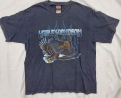 Item thumbnail for item 503a52b0-1b3c-4372-a6eb-566f496a103f