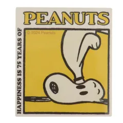 【メール便】スヌーピー キャラクターステッカー ミニデコステッカー ブロックパターン 60s ピーナッツ カミオジャパン 耐水耐光 キャラクター グッズ 