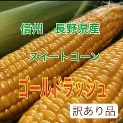 【訳あり品】とうもろこし ゴールドラッシュ 5キロ