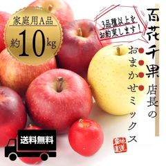 青森県産 " 店長おまかせミックス " りんご【家庭用A品10kg】【送料無料】【農家直送】林檎 リンゴ