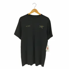2025年最新】アークテリクス tシャツ キャプティブ スプリットの