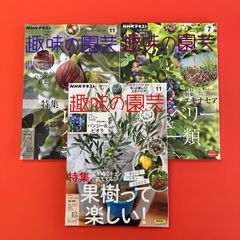 NHKテキスト趣味の園芸 雑誌3冊セット　lp_c0_310
