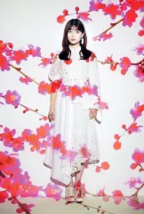 【中古】ポストカード 岩本蓮加 ポストカード 「春夏秋冬/フォーシーズンズ 乃木坂46」