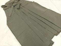 Item thumbnail for item 061dcdcf-cb03-43f1-ab4a-d084ddeb998e