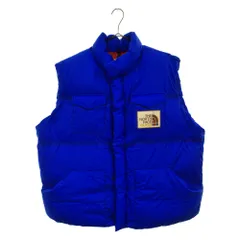 GUCCI (グッチ) 22SS ×THE NORTH FACE ×ノースフェイス ロゴ キャット プリント ダウンベスト ブルー/レッド 663761 XAACXのサムネイル