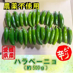 農薬不使用・ピリ辛料理に最適　ハラペーニョ（５００グラム）のサムネイル