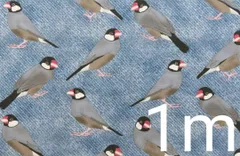 2025年最新】並文鳥の人気アイテム - メルカリ