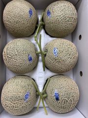アールスメロン❗️北海道東北各県沖縄発送不可