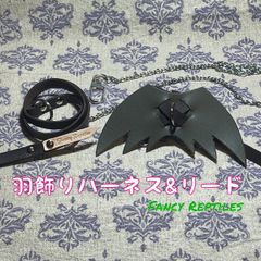 フトアゴヒゲトカゲ用羽飾りハーネス&リード ドラゴン