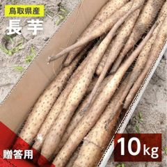 【贈答用】砂丘ながいも　長芋　抜きたて 10kg程度　とろろ　ねばり　山芋　根菜