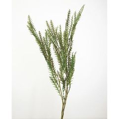 Item thumbnail for item 0b091ce6-b407-49de-b2b2-dc8266bc951c