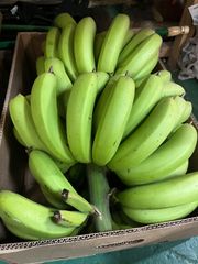 お任せバナナ　5キロ  【銀バナナ，島バナナ，野菜バナナ，三尺バナナなど】