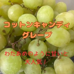 コットンキャンディグレープのサムネイル