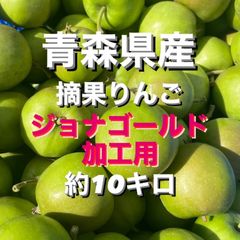 青森県産　摘果りんご　ジョナゴールド　加工用約10キロ