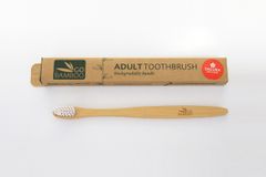 Toothbrush Sacura（歯ブラシ）